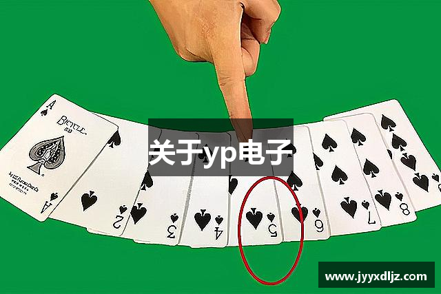 关于yp电子